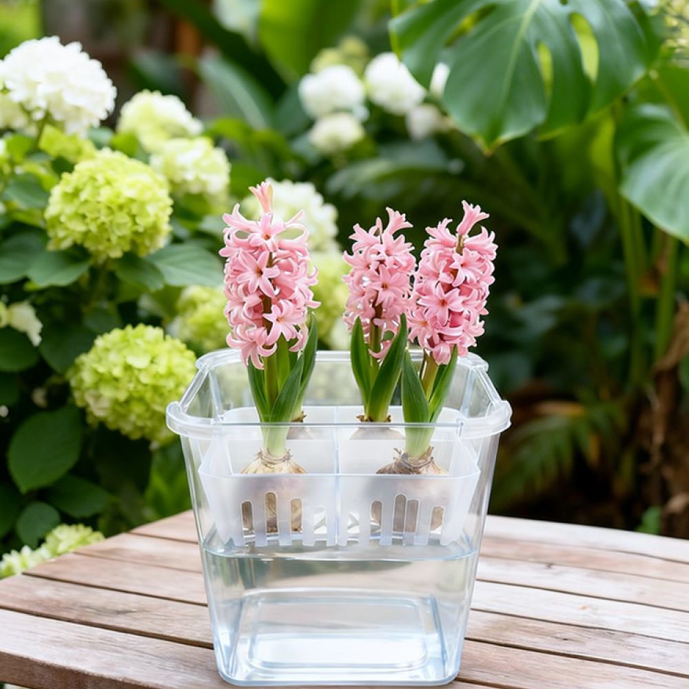 وعاء زراعة مائية للزهور، مناسب - مراجعة Vase Decor وسعره