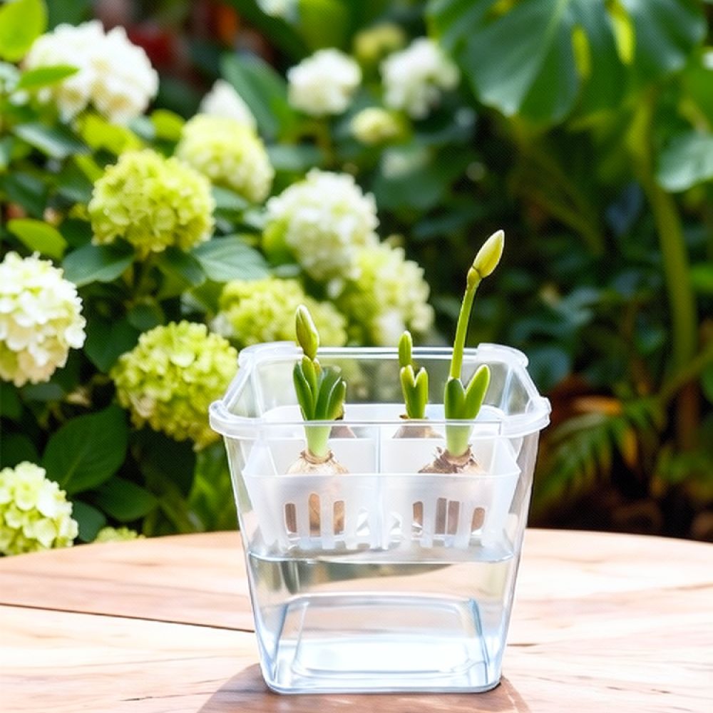 وعاء زراعة مائية للزهور، مناسب - مراجعة Vase Decor وسعره